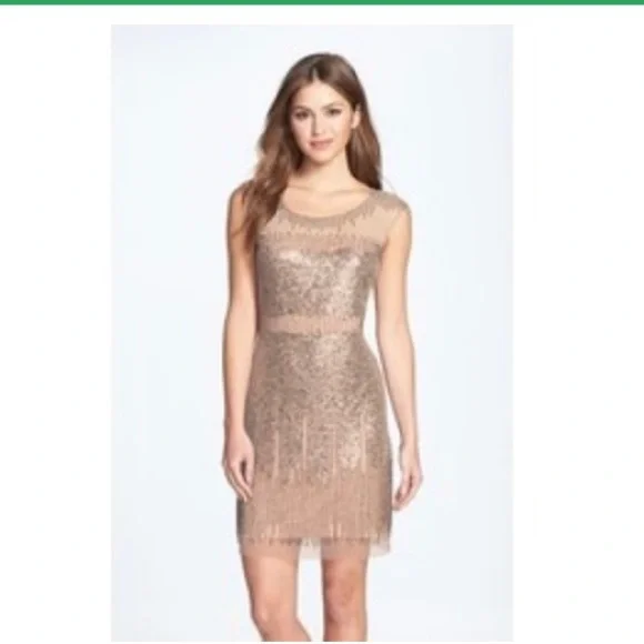 adrianna papell beaded illusion sheath dress Adrianna Papell Women's Beaded Illusion Long-Sleeve Sheath Dress